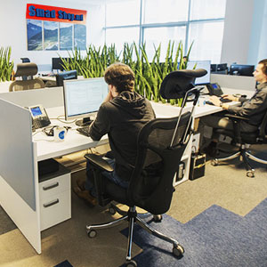 Web Разработчик