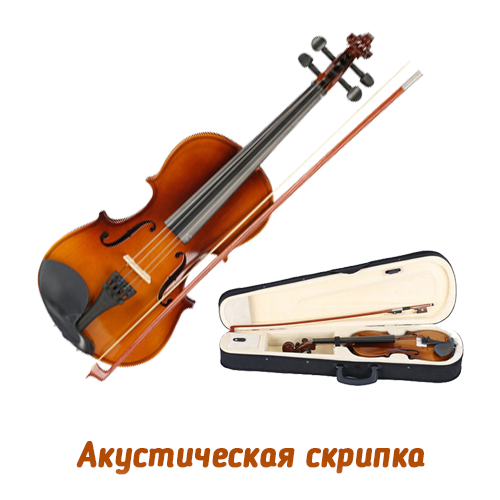 Скрипка – как разобраться в видах и размерах?