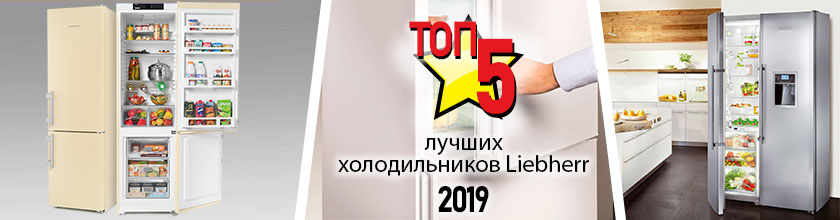 топ 5 холодильников Liebherr топ 5 холодильников Liebherr