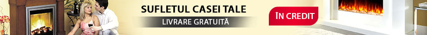 seminee electirce