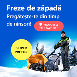 Freze de zapada Moldova