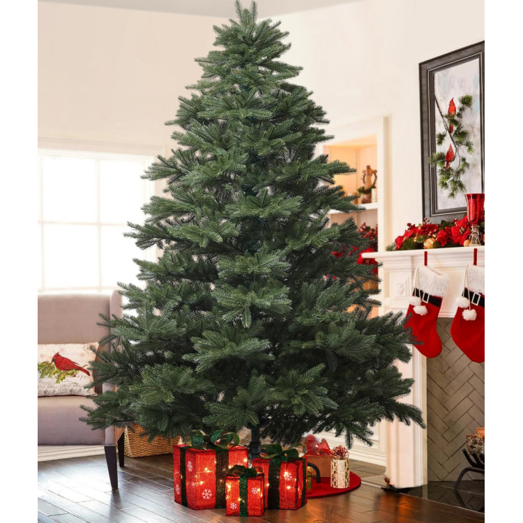 Brad Divi Trees Grand Elite Premium