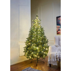 Brad Divi Trees Nordman LED 1.8m