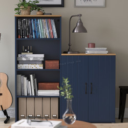 Biblioteca cu raft Ikea Skruvby 130x140 (Negru-Albastru)