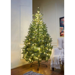 Brad Divi Trees Nordman LED 2.1m