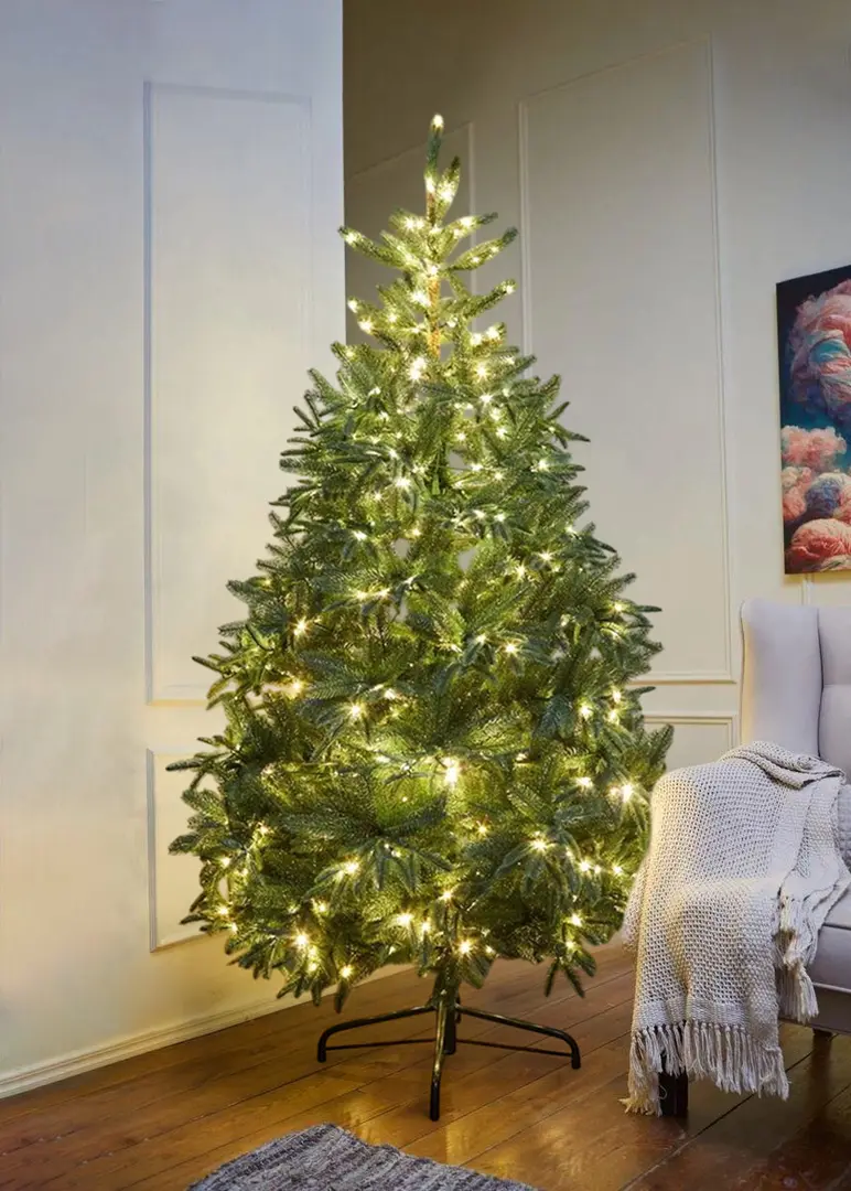 Brad Divi Trees Nordman LED 2.1m