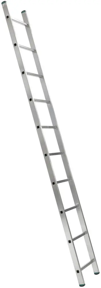 Лестница Alve Eurostyl Profi 7110