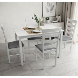 Комплект стол + 4 стула Evelin Gloria NV-10WP (White/Grey)