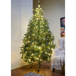 Brad Divi Trees Nordman LED 2.4m