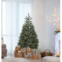 Елка Divi Trees Nordman 1.8м