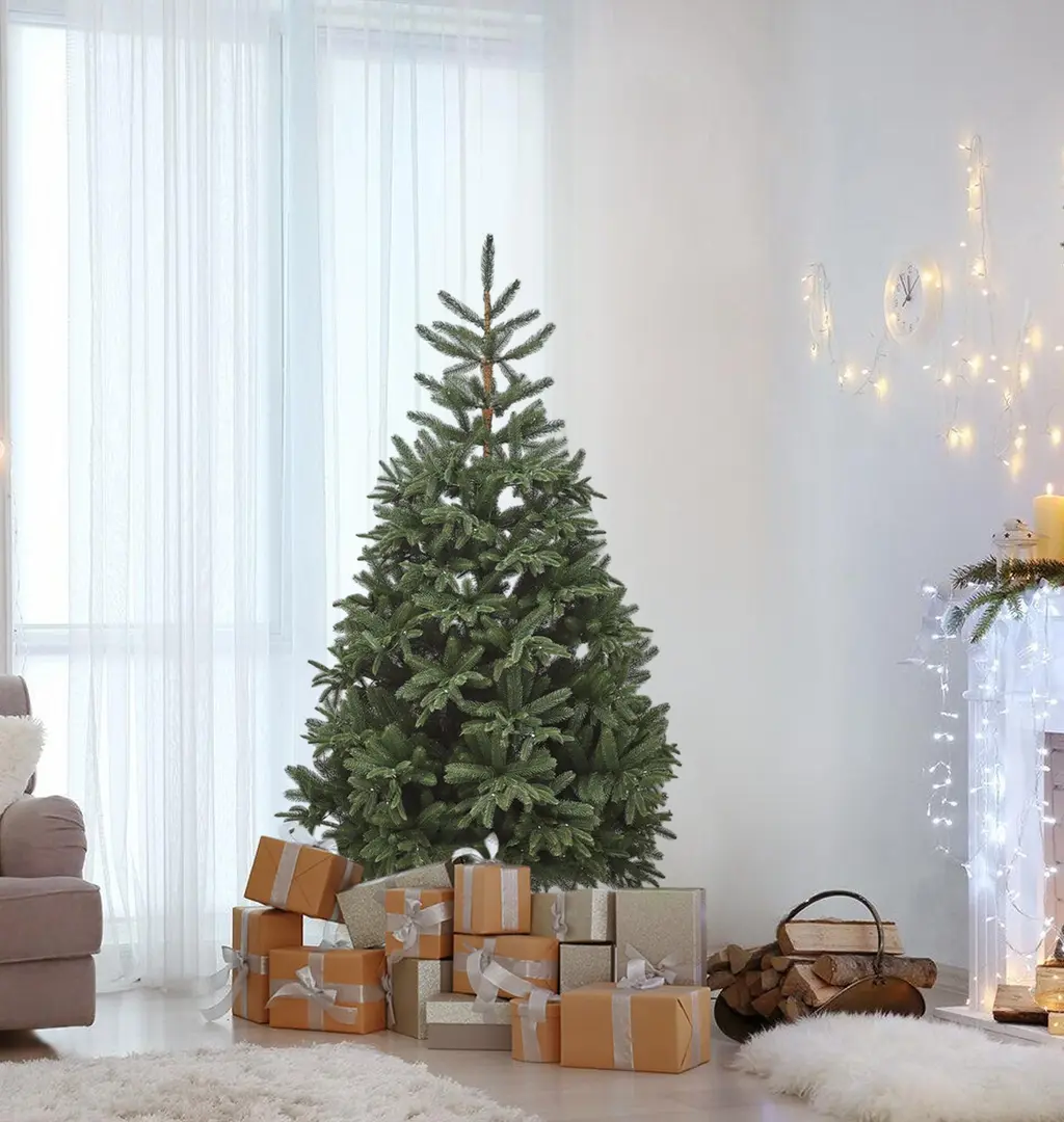 Brad Divi Trees Nordman 1.8m