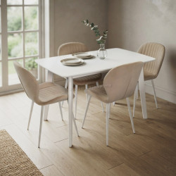 Комплект стол + 4 стула Evelin Cooper + YTC-064Wh UF910-01 (White/Light Beige)