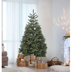 Елка Divi Trees Nordman 2.1м