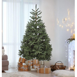 Елка Divi Trees Nordman 2.4м