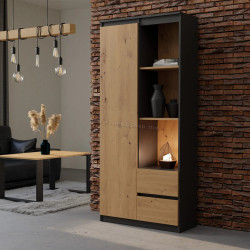 Biblioteca TopEshop RS-80 Bily (Anthracite/Artisan Oak)
