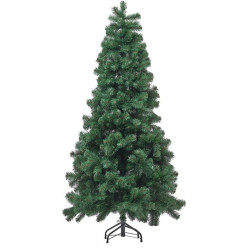 Brad Divi Trees Classic 2.1m Thumb