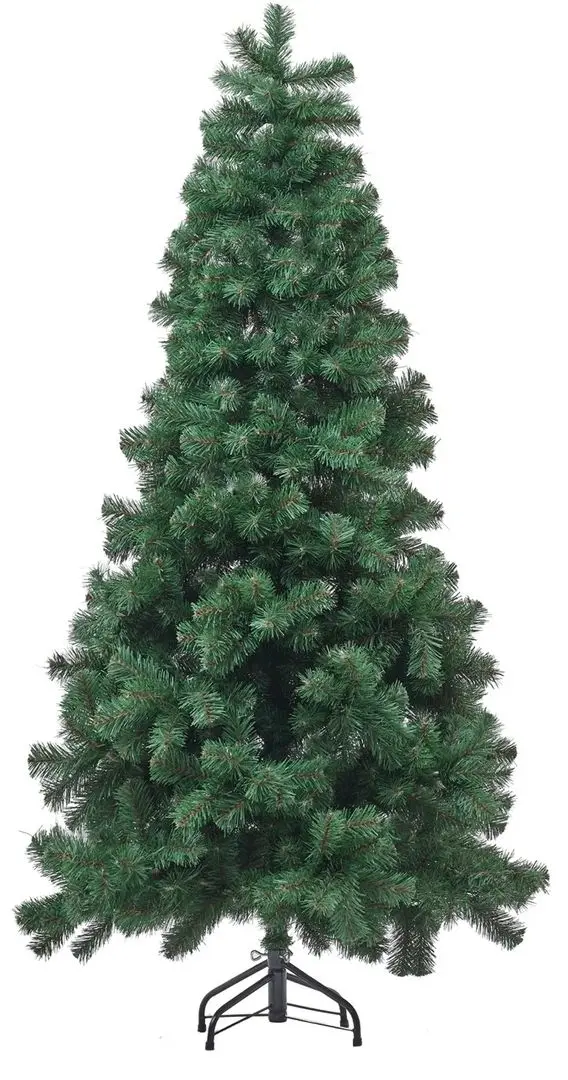 Brad Divi Trees Classic 2.1m