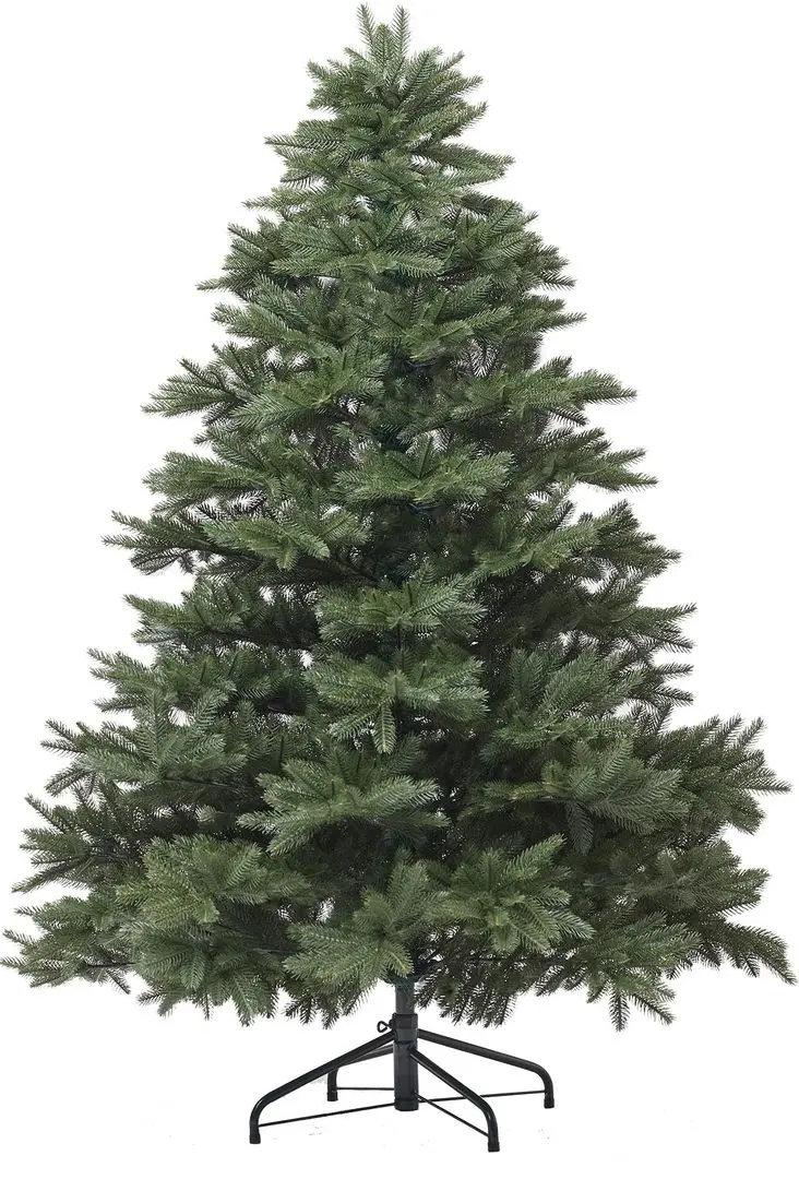 Brad Divi Trees Grand Elite Premium 2.1m