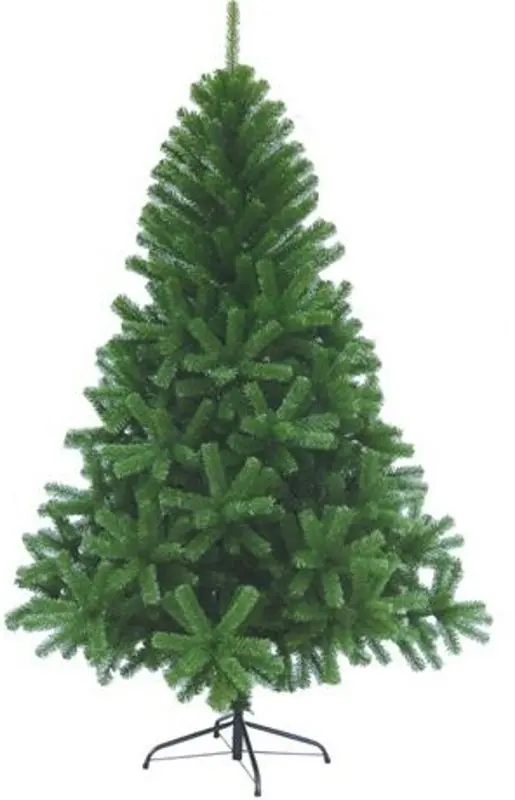 Brad Christmas Canadian Pine 150cm