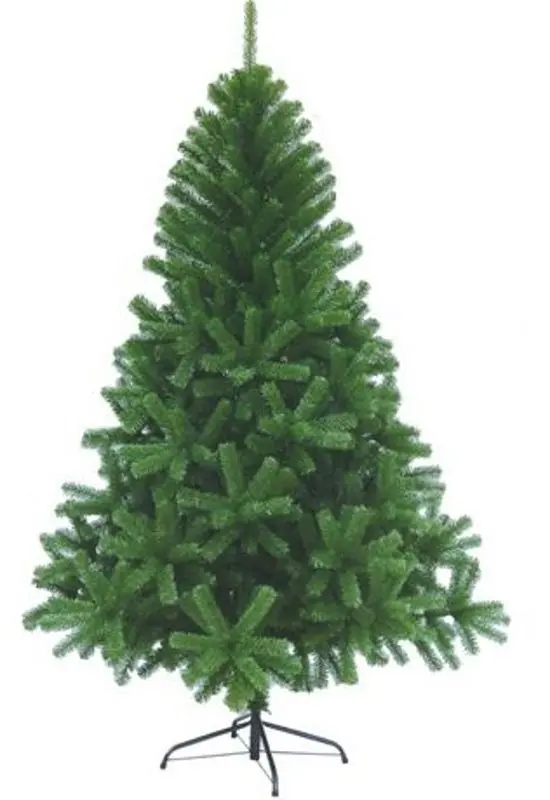 Brad Christmas Canadian Pine 210cm - 2