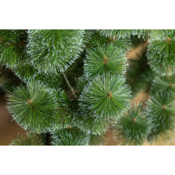 Brad Siga Group Mix Snowy 47670 180cm Thumb