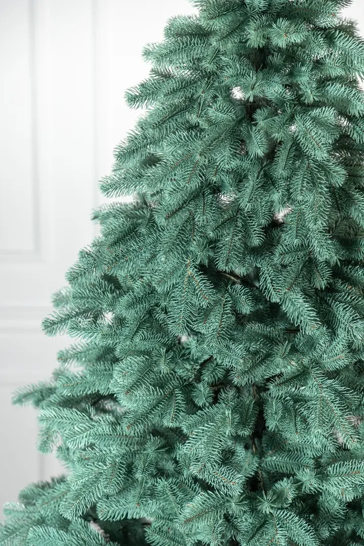 Brad Siga Group Kovalevskaya 47697 180cm