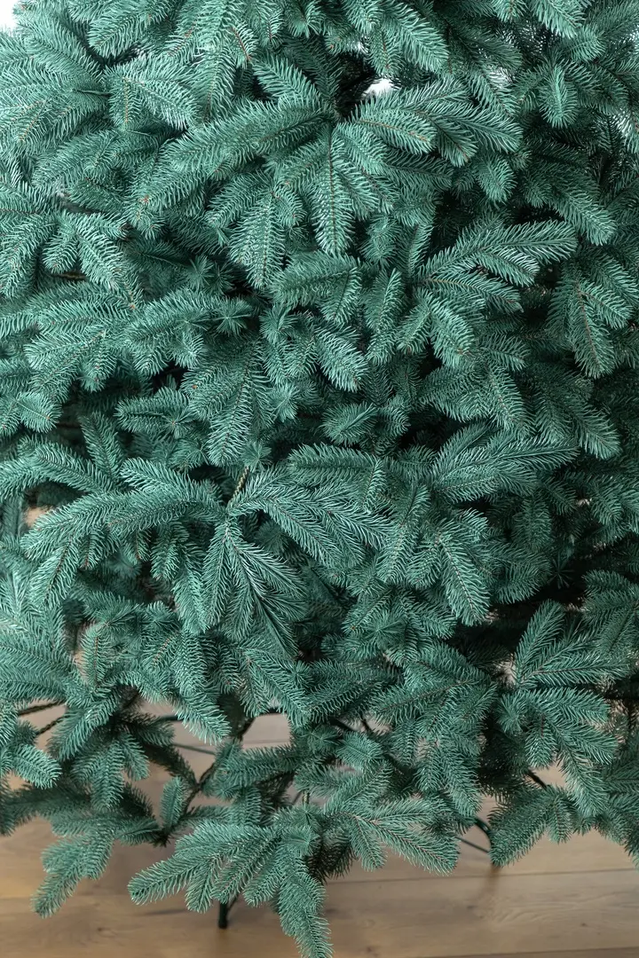 Brad Siga Group Kovalevskaya 47697 180cm