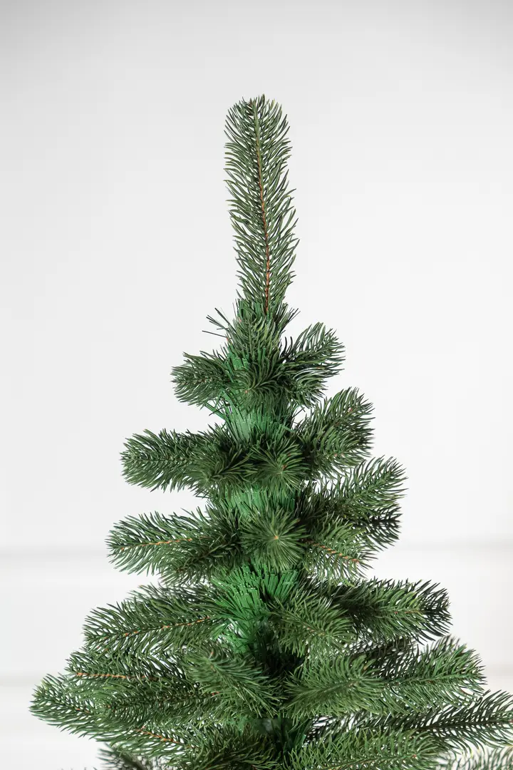 Brad Siga Group President 47675 250cm