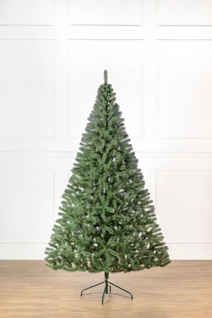 Brad Siga Group President 47675 250cm