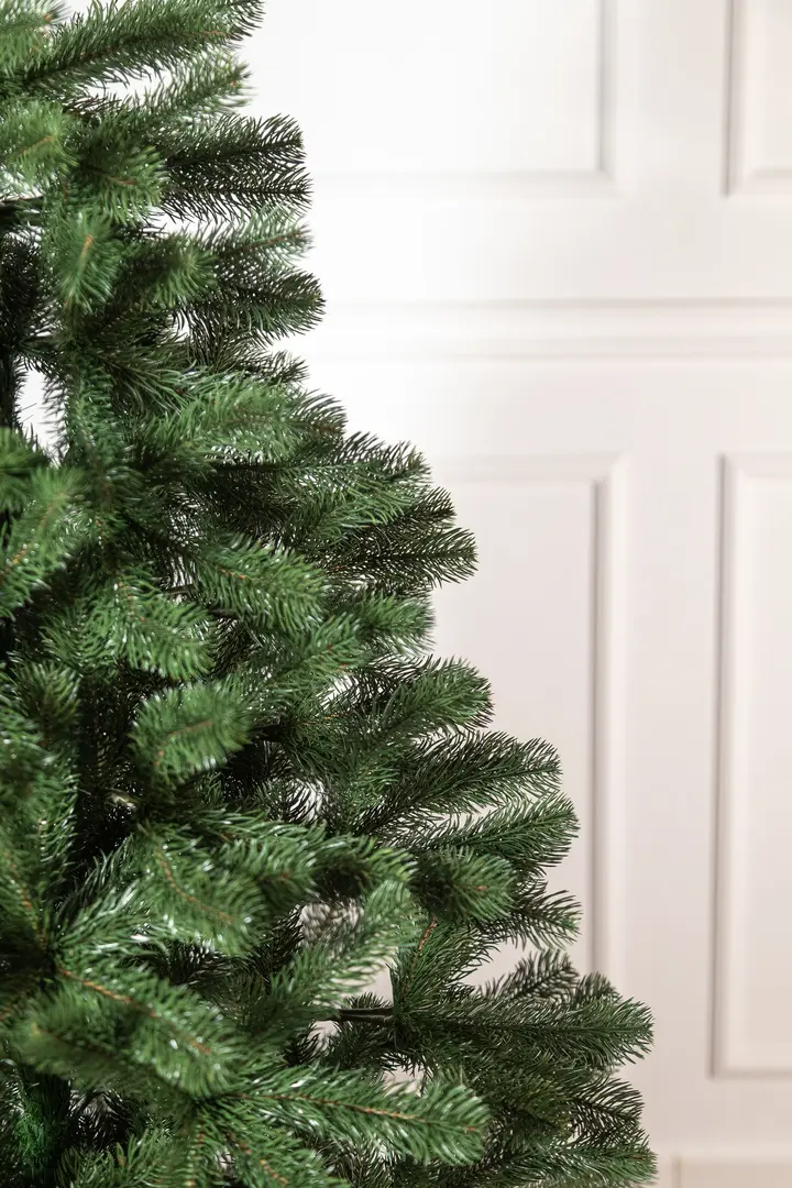 Brad Siga Group President 47675 250cm