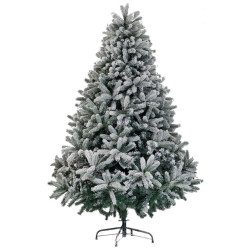 Brad Divi Trees Mont Blanc 2.4m Thumb