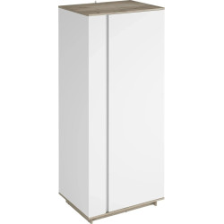 Шкаф Magnusplus Concept CT22 80x200x60 (Grey Craft Oak/Nimphaea Alba) Thumb