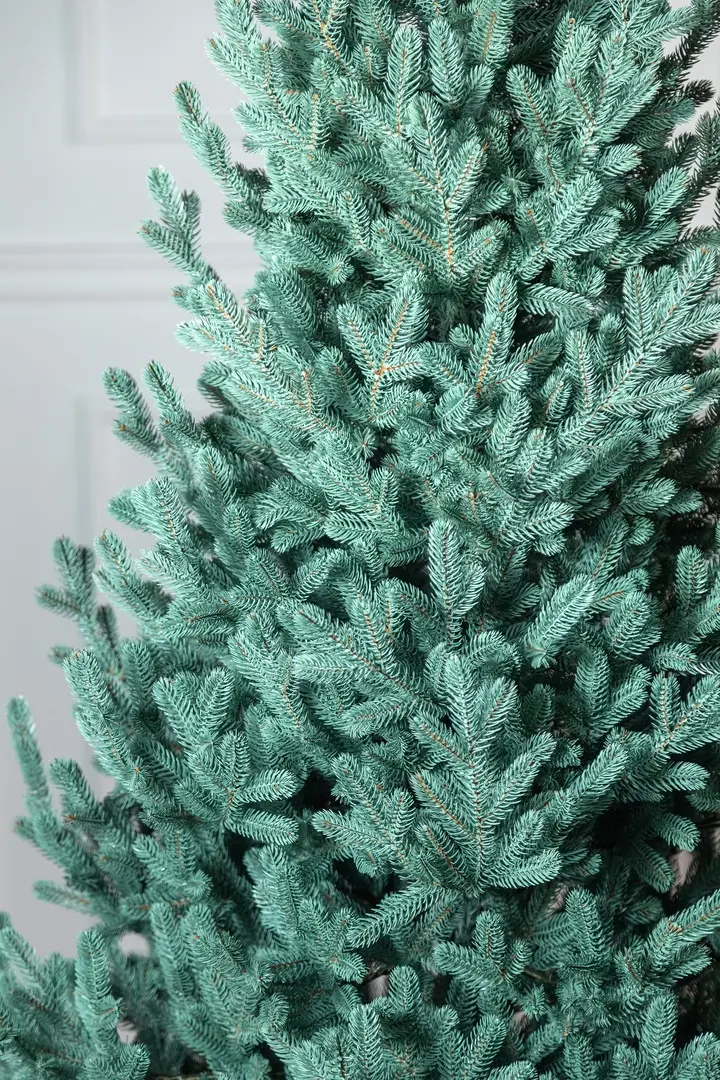 Brad Siga Group Vienna 47708 210cm