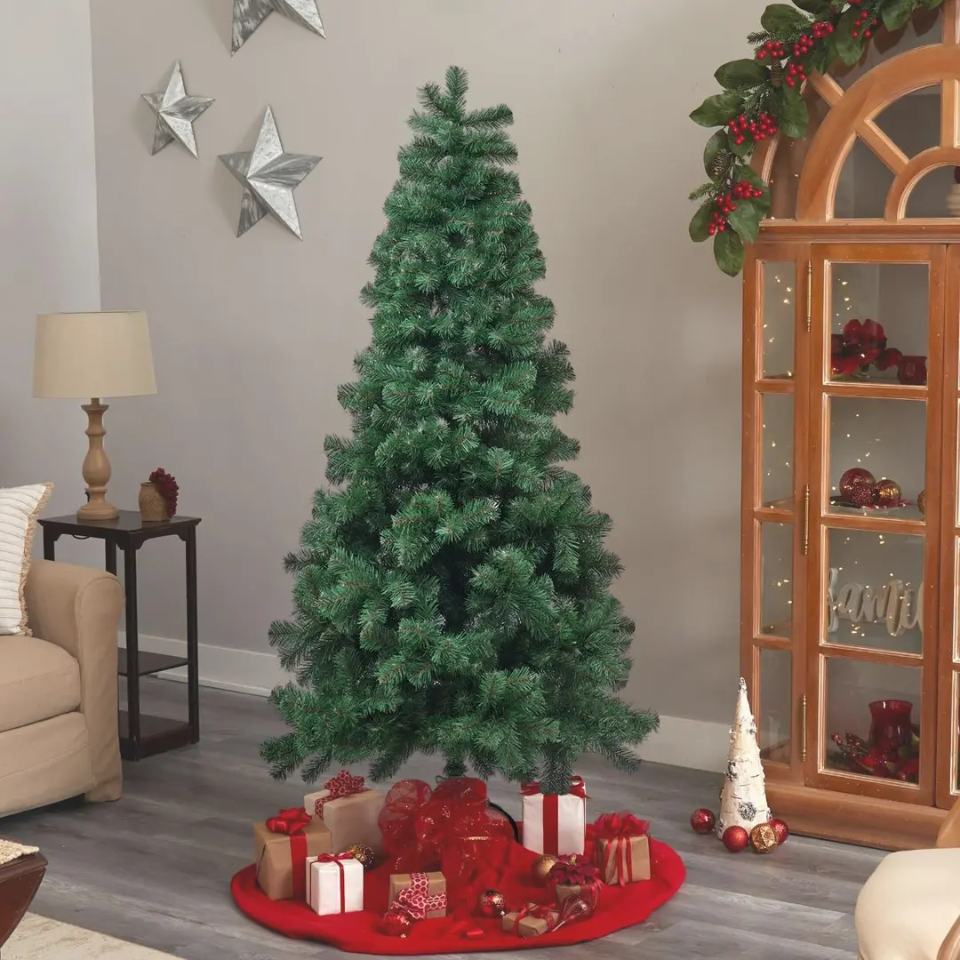 Brad Divi Trees Classic 2.1m