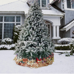 Brad Divi Trees Mont Blanc 3.5m