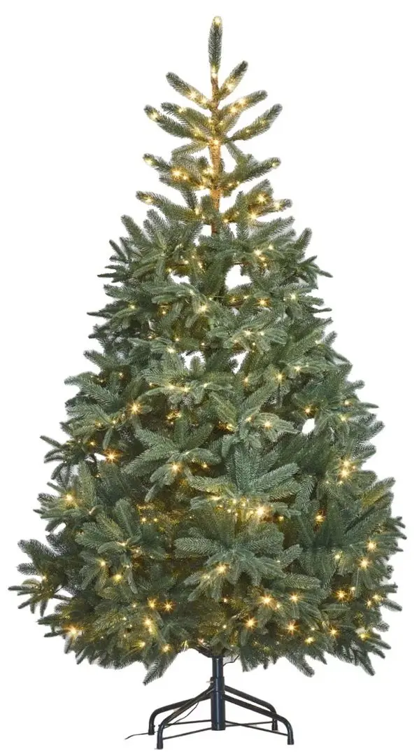 Brad Divi Trees Nordman LED 2.1m