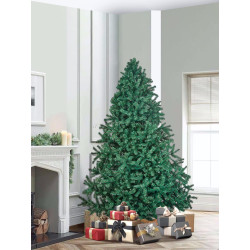 Brad Divi Trees Modern 2.1m