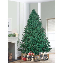 Brad Divi Trees Modern 2.4m