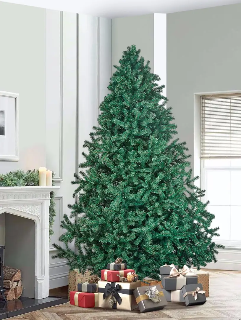 Brad Divi Trees Modern 2.4m