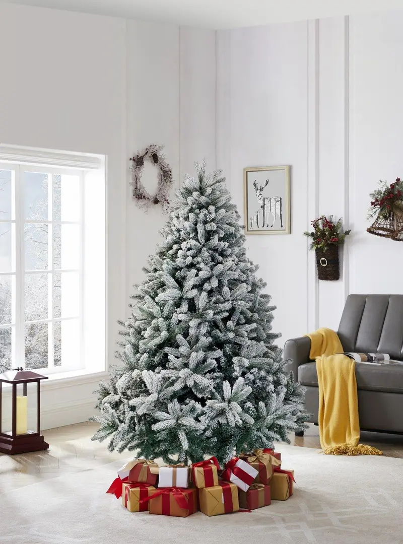 Brad Divi Trees Mont Blanc 1.8m