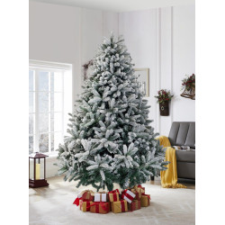 Brad Divi Trees Mont Blanc 2.4m