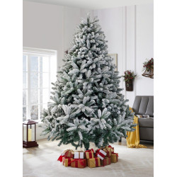 Brad Divi Trees Mont Blanc 2.7cm