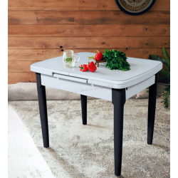 Стол раскладной Magnusplus DT A56 90/120x70 (Black/White)