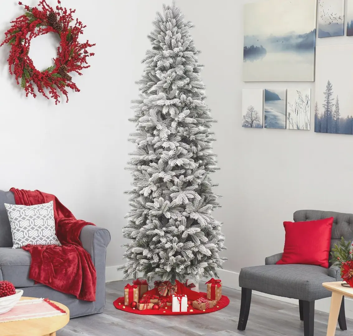 Brad Divi Trees Siberia 2.4m