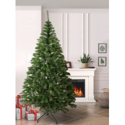 Brad Siga Group President 47673 210cm Thumb