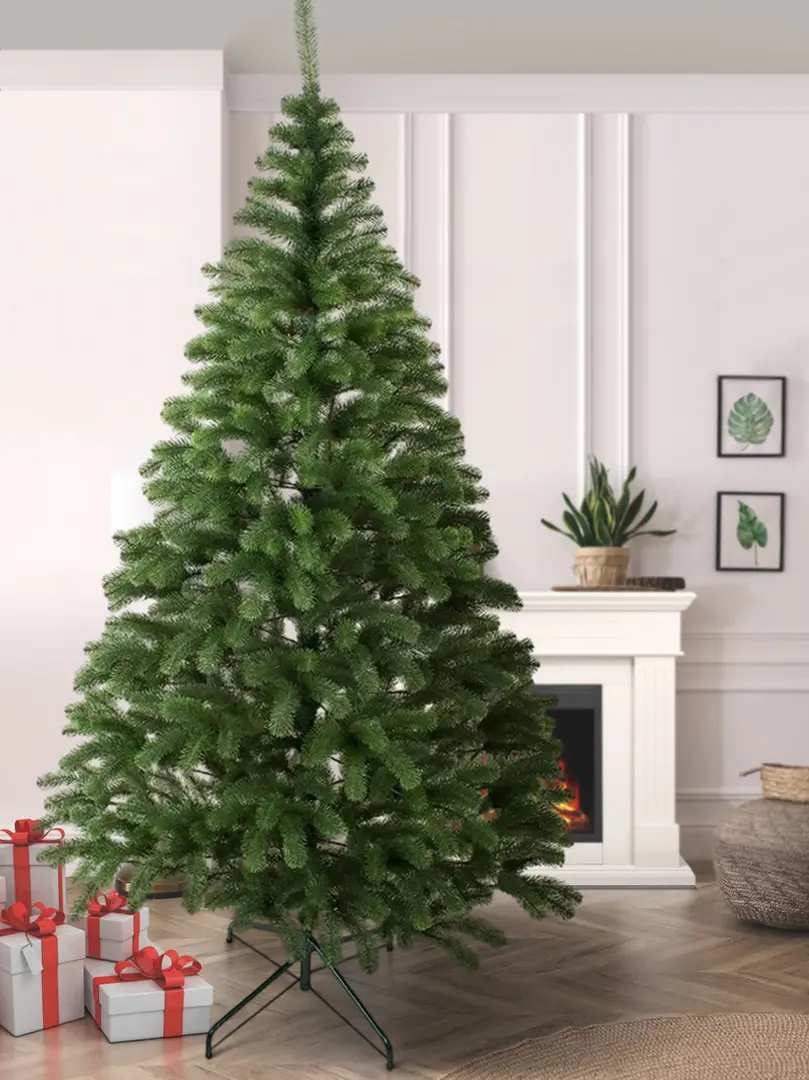 Brad Siga Group President 47675 250cm