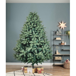 Brad Divi Trees Grand Elite 2.1m