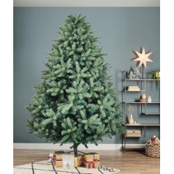 Brad Divi Trees Grand Elite 2.4m