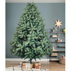 Brad Divi Trees Grand Elite 2.7m