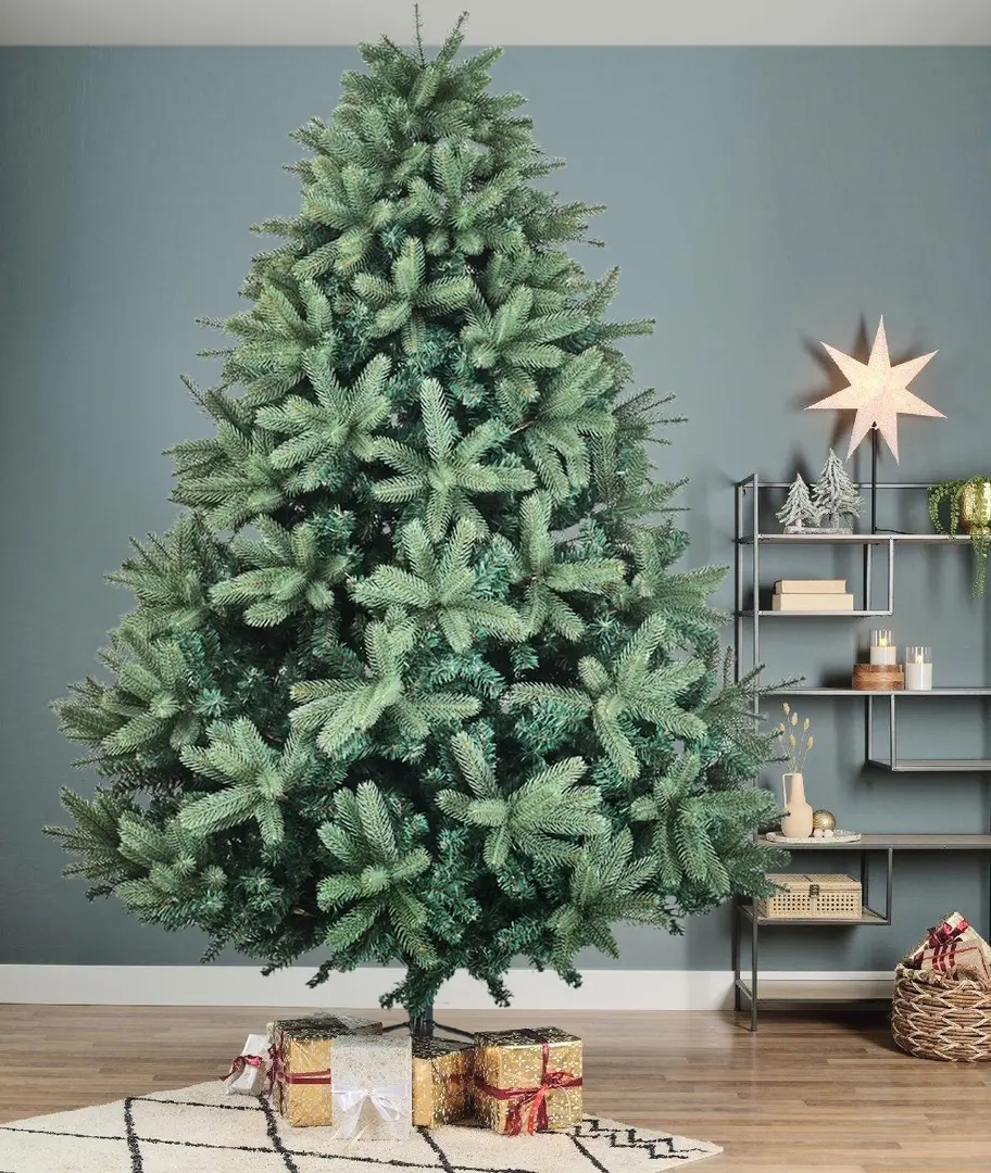 Brad Divi Trees Grand Elite 2.7m